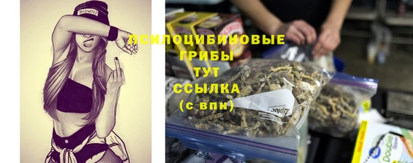 гидра Алексин