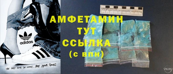гидра Алексин