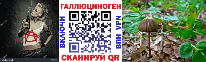 где найти наркотики  ссылка на мегу ссылки  Псилоцибиновые грибы Magic Shrooms  Байкальск 